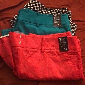 New York and company shorts